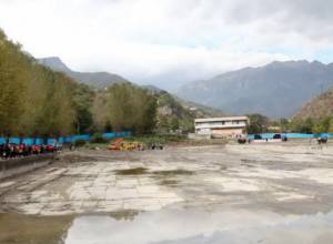 Ամուսնացողներն ավելի շատ են