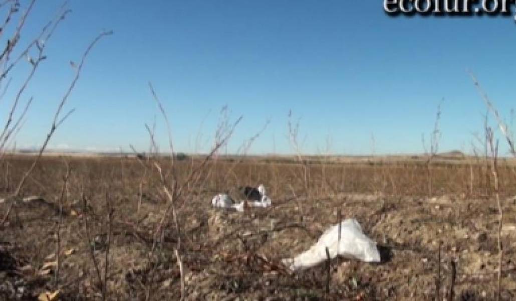 8644c7c6be2ab08f096b1d7400ecc5cd