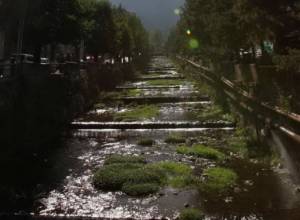 Բակունցը «կխոսի»