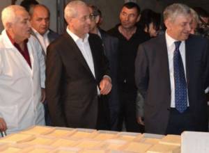 Որ կովերն ուտեն, իսկ ֆերմերներն հարստանան
