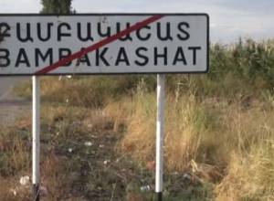 Բամբակաշատի վնասը կազմել է 100 տոկոս