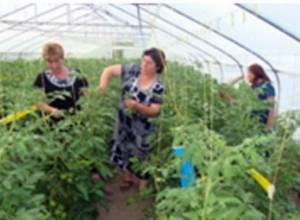 «Բոլոր գյուղնախարարներին պետք է պատժել»