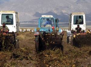 «Հողը մայրն է հարստության, աշխատանքը` հայրը»