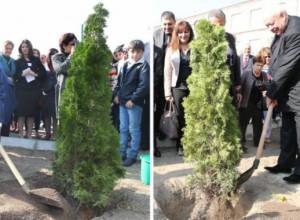 Քաղաքապետերը ծառեր են տնկել