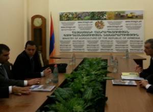 Իսպանացիները՝ Հայաստանում