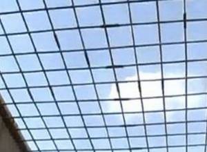 Հացադուլ է անում, որ իրեն դատեն