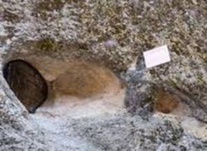 Пещера Магеля под угрозой уничтожения