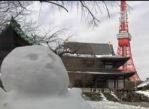 Seven die as heavy snow hits Japan