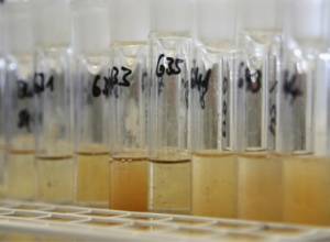   Sochi medalists will wait until 2024