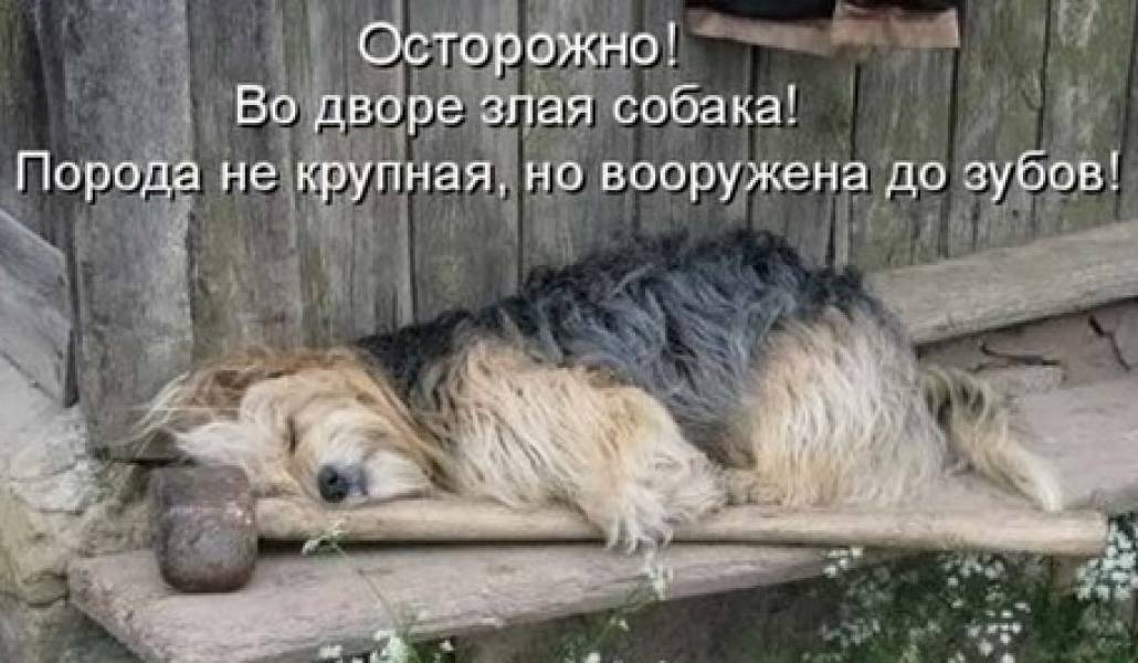 1247631812_fotoprikol_008