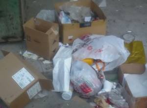 Bus stop turned into dump