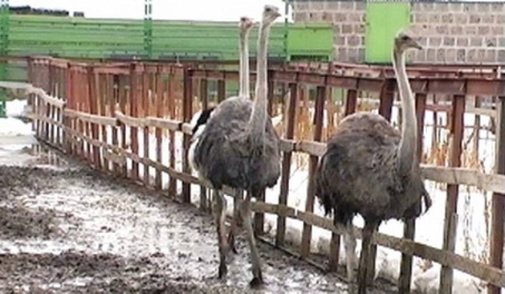 1393233381_jaylamner