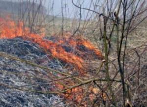 Apple and grape orchards were burnt