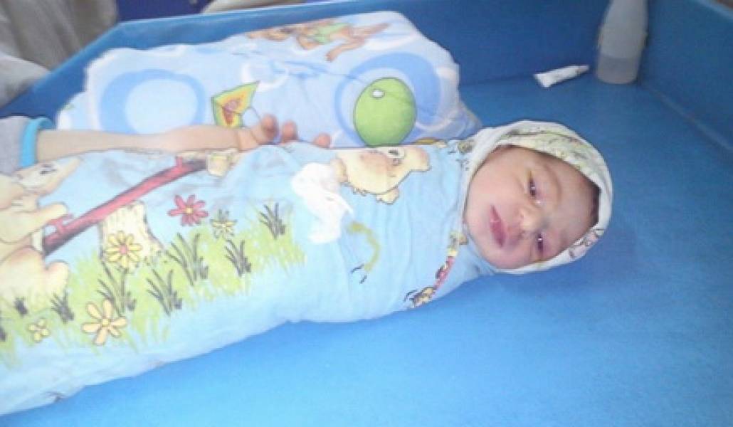 Sargis