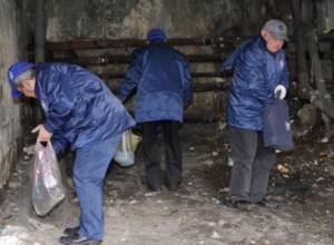 Կրծողների դեմ պայքարի աշխատանքներն ընթացքի մեջ են   
