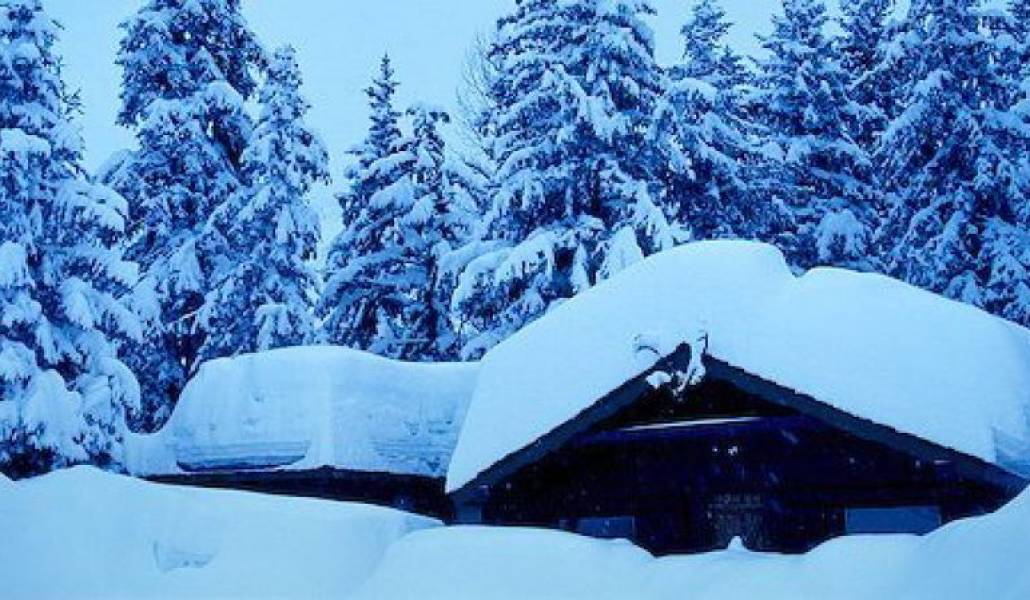 619e49229decf145c2d8ee53c07f9f40