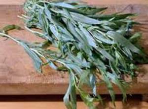 Թարխունի ձեռքը կրակն են ընկել