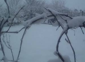 Արմավիրի մարզը աղետալի վիճակում է