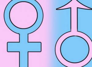 “Gender” projects have been approved