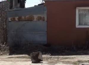 Գյումրու տնակներում «այլմոլորակայիններ» են բնակվում