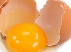 Overdue 6 eggs found