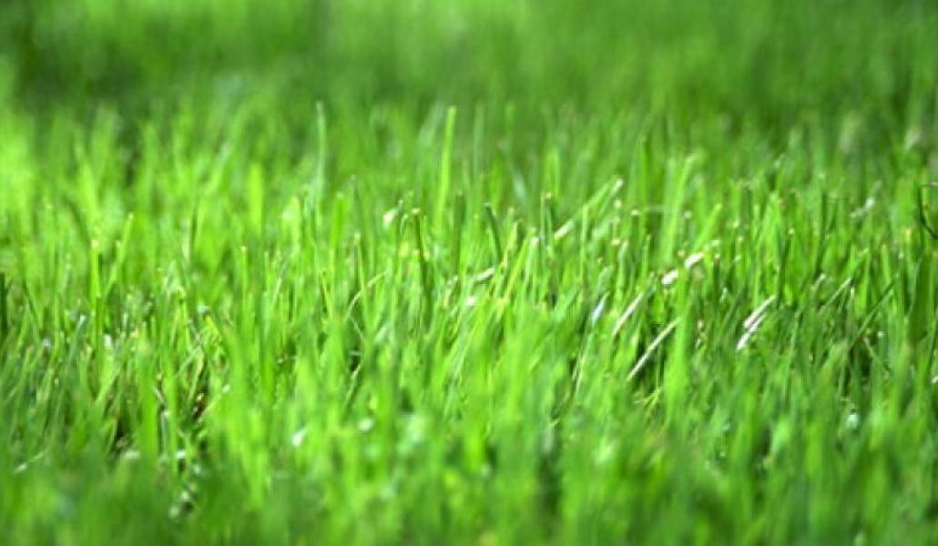 a0139b20fbbef89b286fc9c03cddea1c