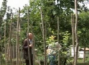 Անձրեւն էլ պակաս վնաս չի հասցրել