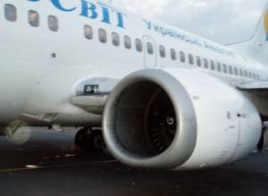 RA citizen died in airplane