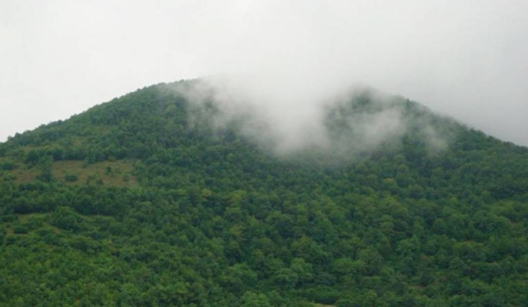 b931906387b7a99248f8b429f9f53768