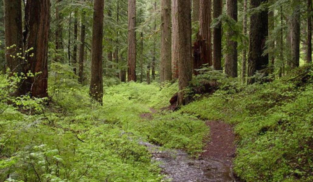 dda103a743d8a14cab176ae3a3644e0d