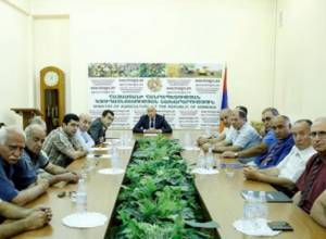 Ի՞նչը կփոխատուցի   ծիրանի  չեղած բերքին