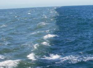 Georgian rescuers save Armenian nationals from drowning