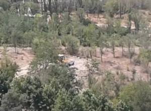 Уничтожают деревья в Нор-Норке