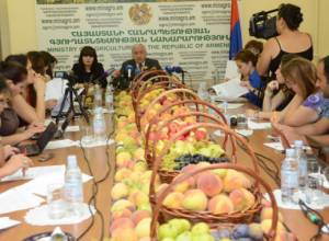 «Գյուղնախարարը սուտ է ասում»