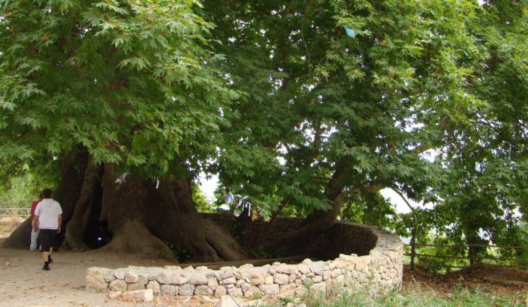 6e210eb495a16ff7130109fc704c66dd