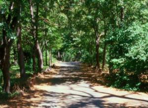 Пропал человек