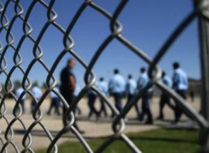 Forty lifers start hunger strike in Armenia 