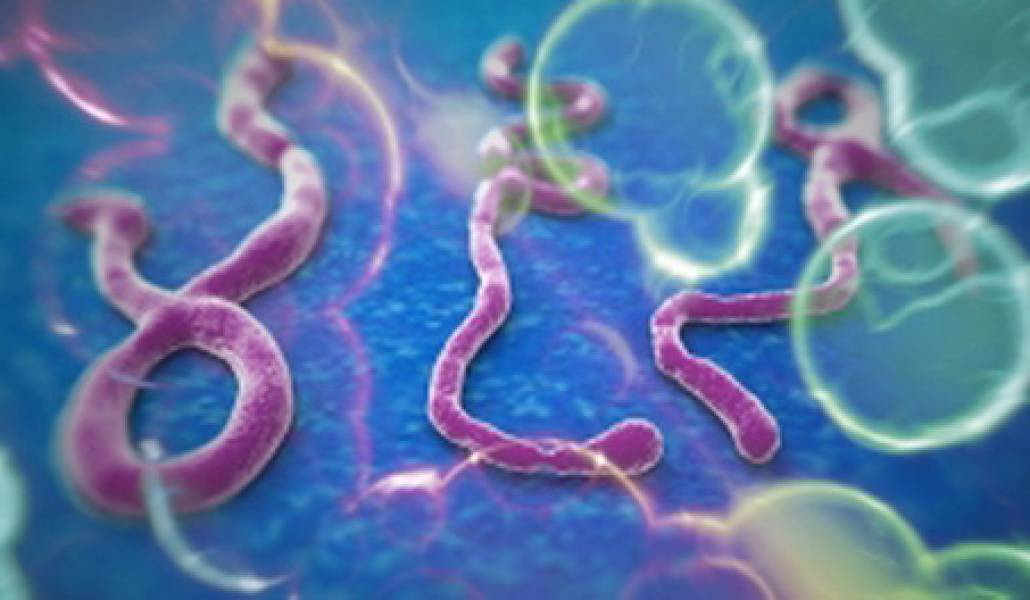 ebola