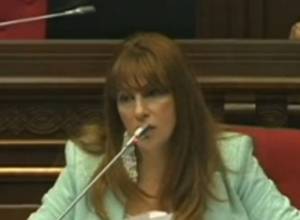  Zaruhi Postanjyan's microphone disconnected again