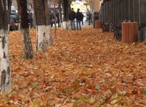 Attention! There is a cold snap