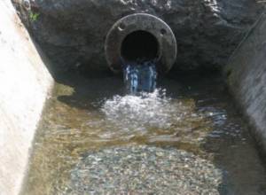 No cases of cholera in Armenia, says Health Ministry