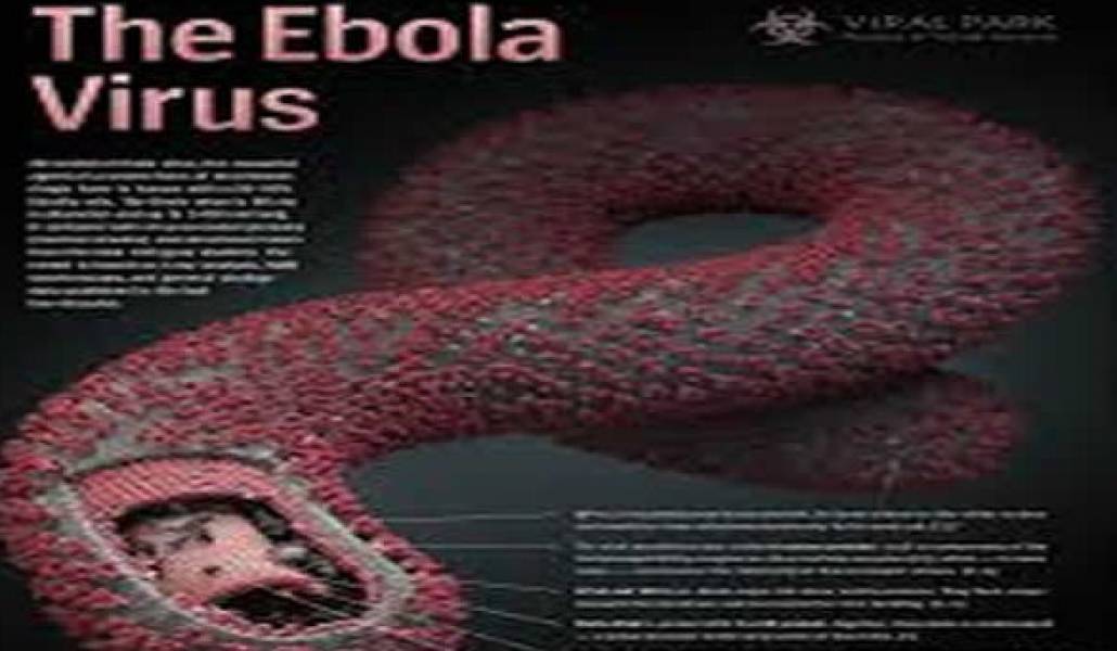 ebola