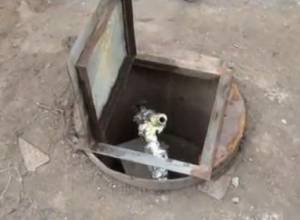 Воры убежали, увидев жителей