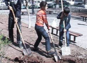 Citywide Saturday clean-up and tree planting on November 8