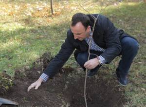 Hrayr Tovmasyan says that he has two trees planted in the city