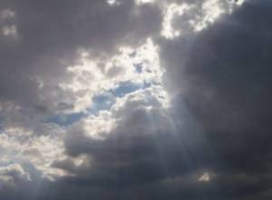 21 ноября 1995 года было 20 градусов тепла