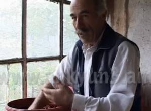 Viticulture became easier but the harvest is poor - say farmers 