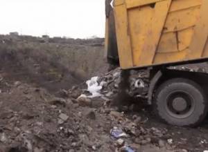 Сообщение о преступлении: "Брат Сержа разрешил"