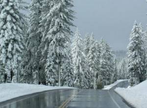 Roads are mainly open