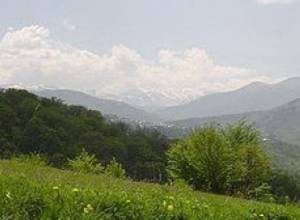 Министерство отклонило проект золотого прииска Тухманука